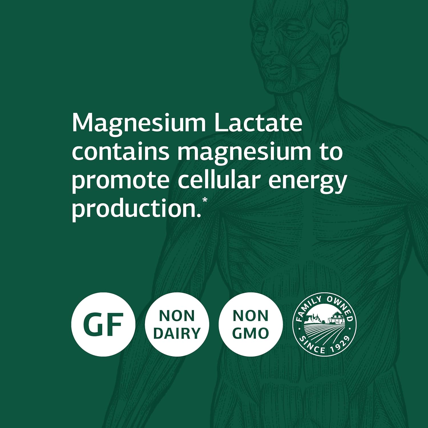 Standard Process Magnesium Lactate Supplement for Muscle & Bone Support, 90 Capsules B287887