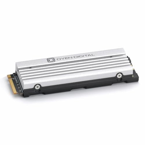 Oyen Digital Dash Pro 4TB NVMe SSD with Heatsink for PS5 J101977