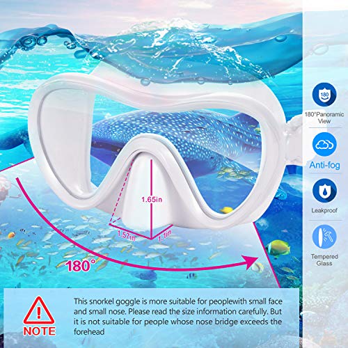 Supertrip Snorkeling Gear for Adults, Anti-Fog Mask and Snorkel Set K3000