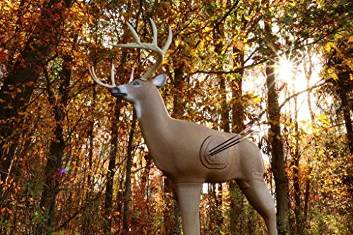 3D Deer Archery Target Shooter Buck M38585