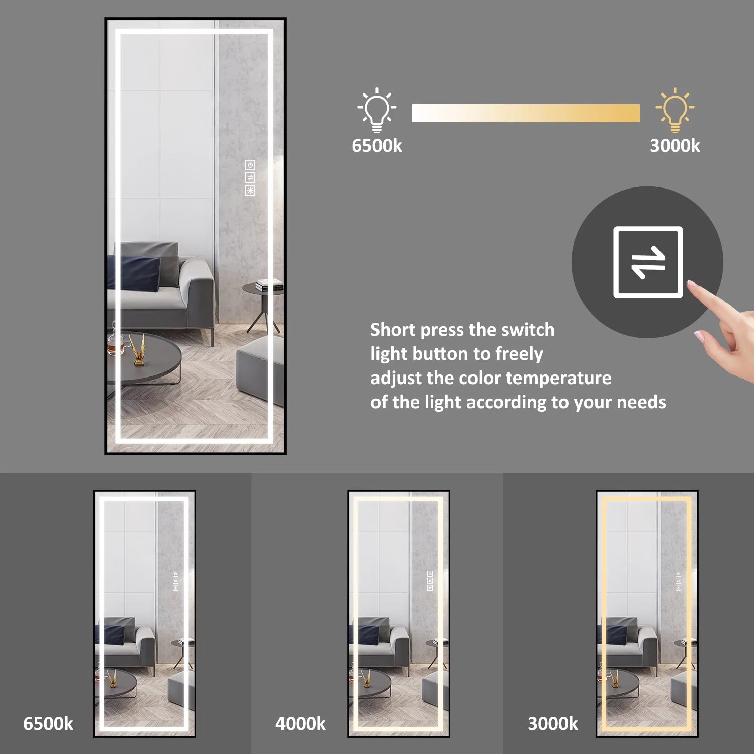 LAIYA LED Aluminum Full Body Rectangular Floor Mirror with Touch Button, 65"x22" Black I444