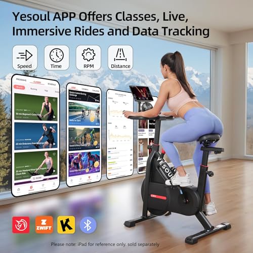 YESOUL Self-Powered Exercise Bike with LED Light Effects, Magnetic Resistance Indoor Cycling Bike P10924