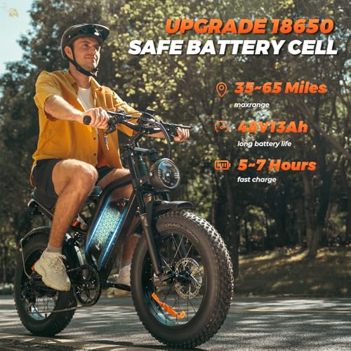 K6 Electric Bike for Adults, 20 x 4 Inch Fat Tire, 750W Motor, 48V Detachable Battery M879