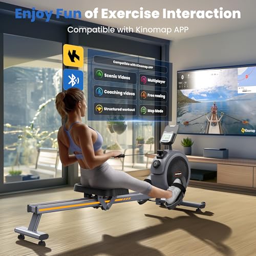 FEIERDUN Rower Machine, Compact Magnetic Rowing Machine for Home, 350LBS Capacity O5092