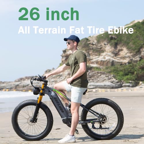 1000W Dual Motor Adults Electric Bike 48V 30Ah Fat Tire Ebike H2608
