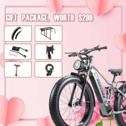 1000W Dual Motor Adults Electric Bike 48V 30Ah Fat Tire Ebike H2608