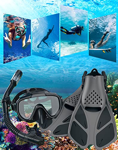 Snorkeling Gear Set for Adults with Diving Mask, Dry Top Snorkel, Fins and Travel Bag Q866