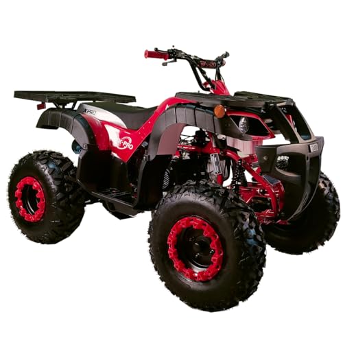 X-PRO 200 Utility ATV with Automatic Transmission, Red W73242