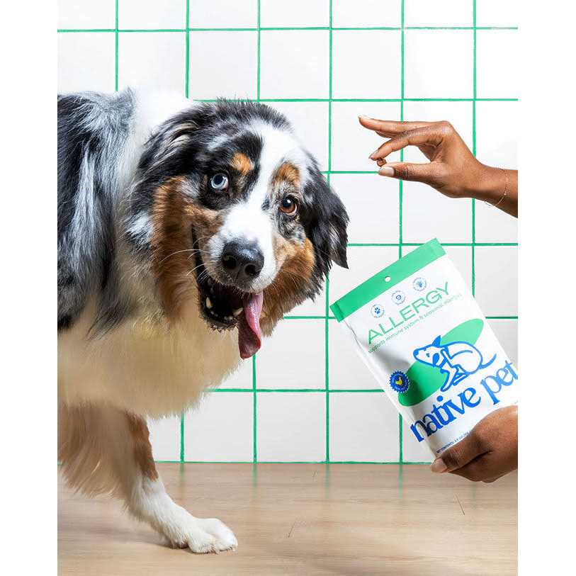 Native Pet Allergy Chews for Dogs X213370