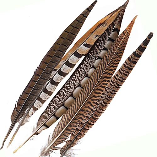 Flying Feathers Natural Pheasant Feathers 12pcs for DIY Craft Decor V9204