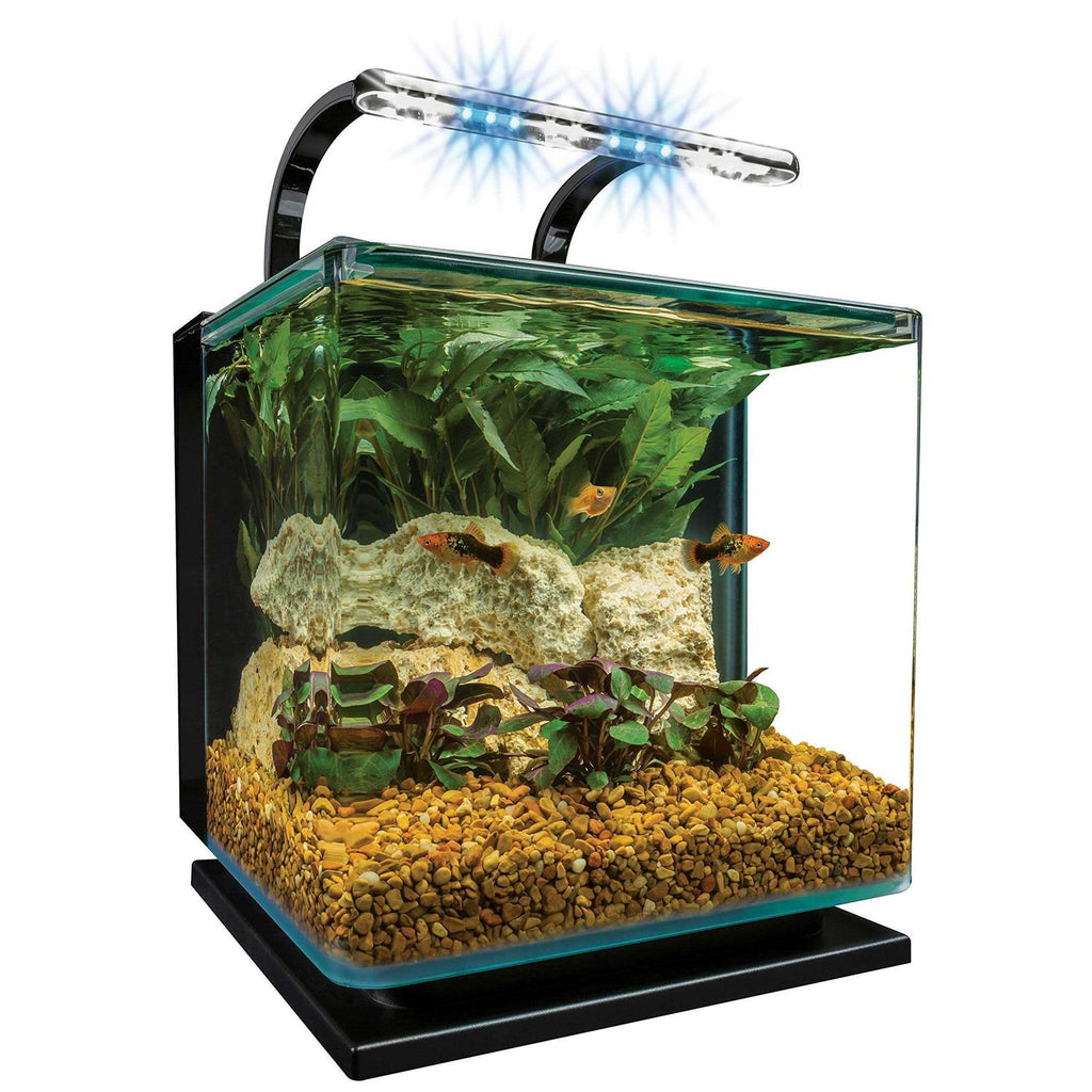 Marineland Contour 5 Gallon Kit - Pet Supplies online store
