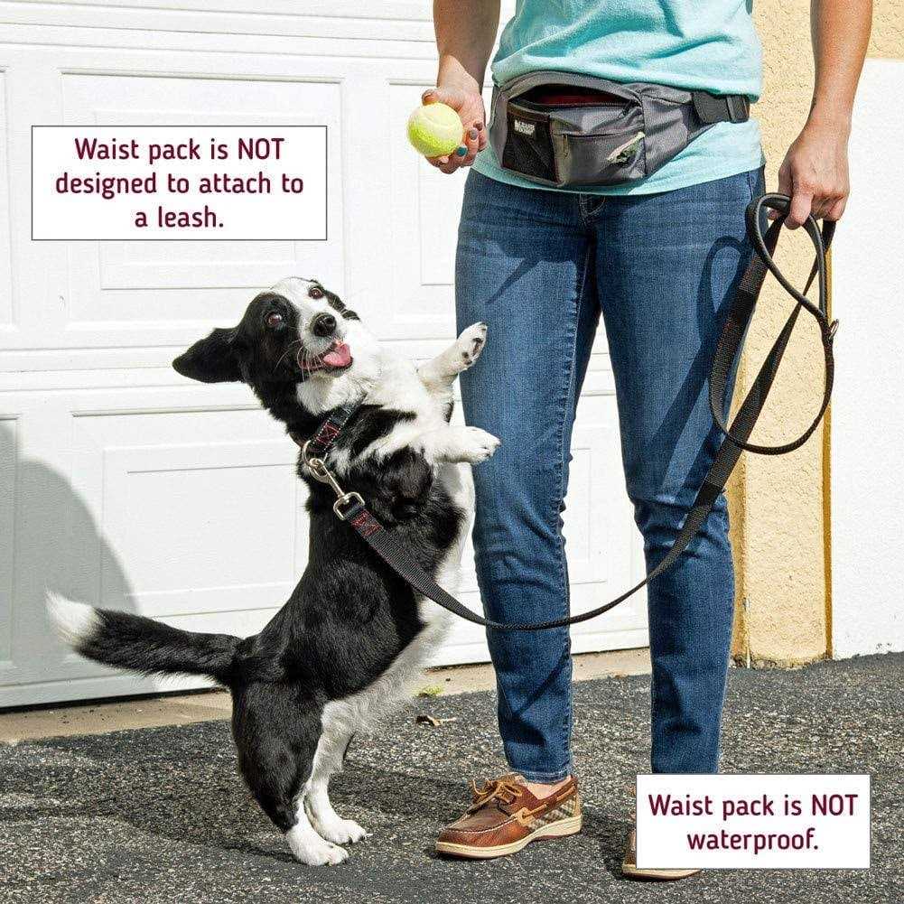 Leashboss PackUp Pouch Dog Treat Training Pouch with Waste Bag Dispenser M908