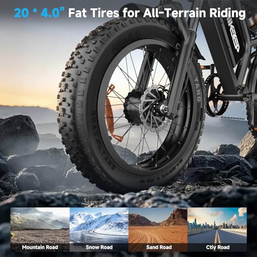 K6 Electric Bike for Adults, 20 x 4 Inch Fat Tire, 750W Motor, 48V Detachable Battery M879