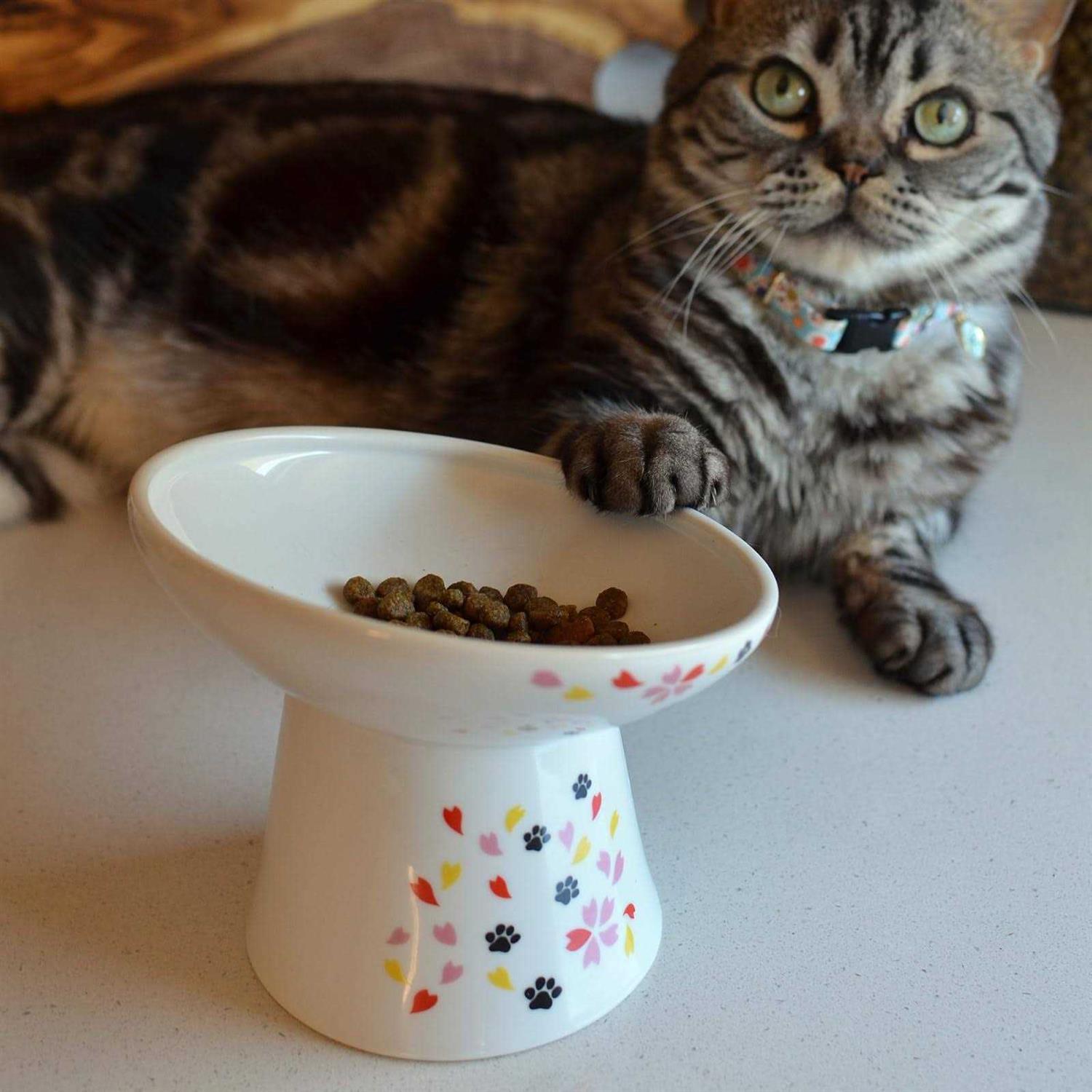 Necoichi Extra Wide Raised Cat Food Bowl S51296