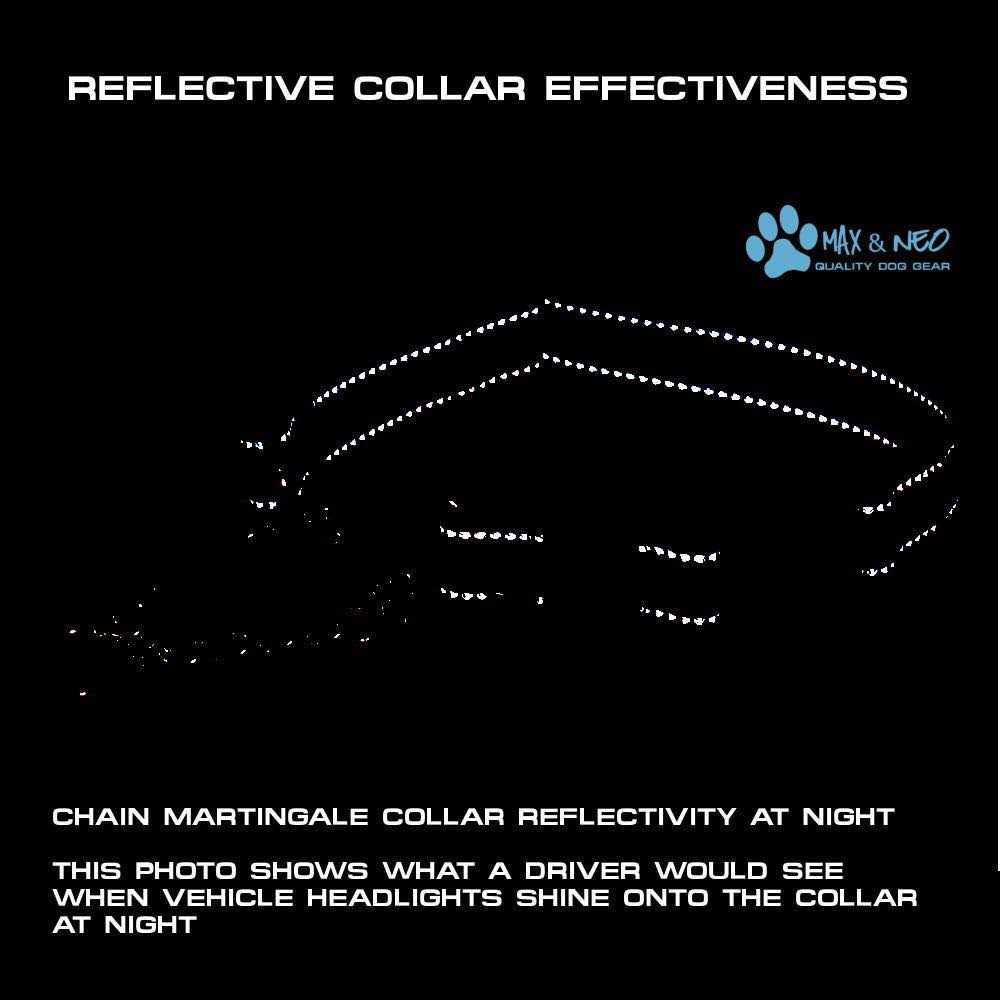 Max and Neo Stainless Steel Chain Martingale Collar U931299
