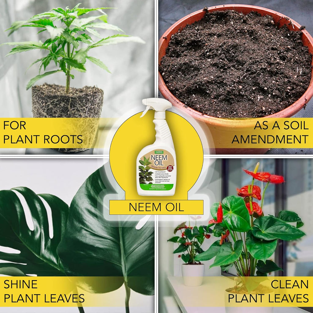 HARRIS Neem Oil Spray for Plants, Cold Pressed Ready to Use, 20oz H22006