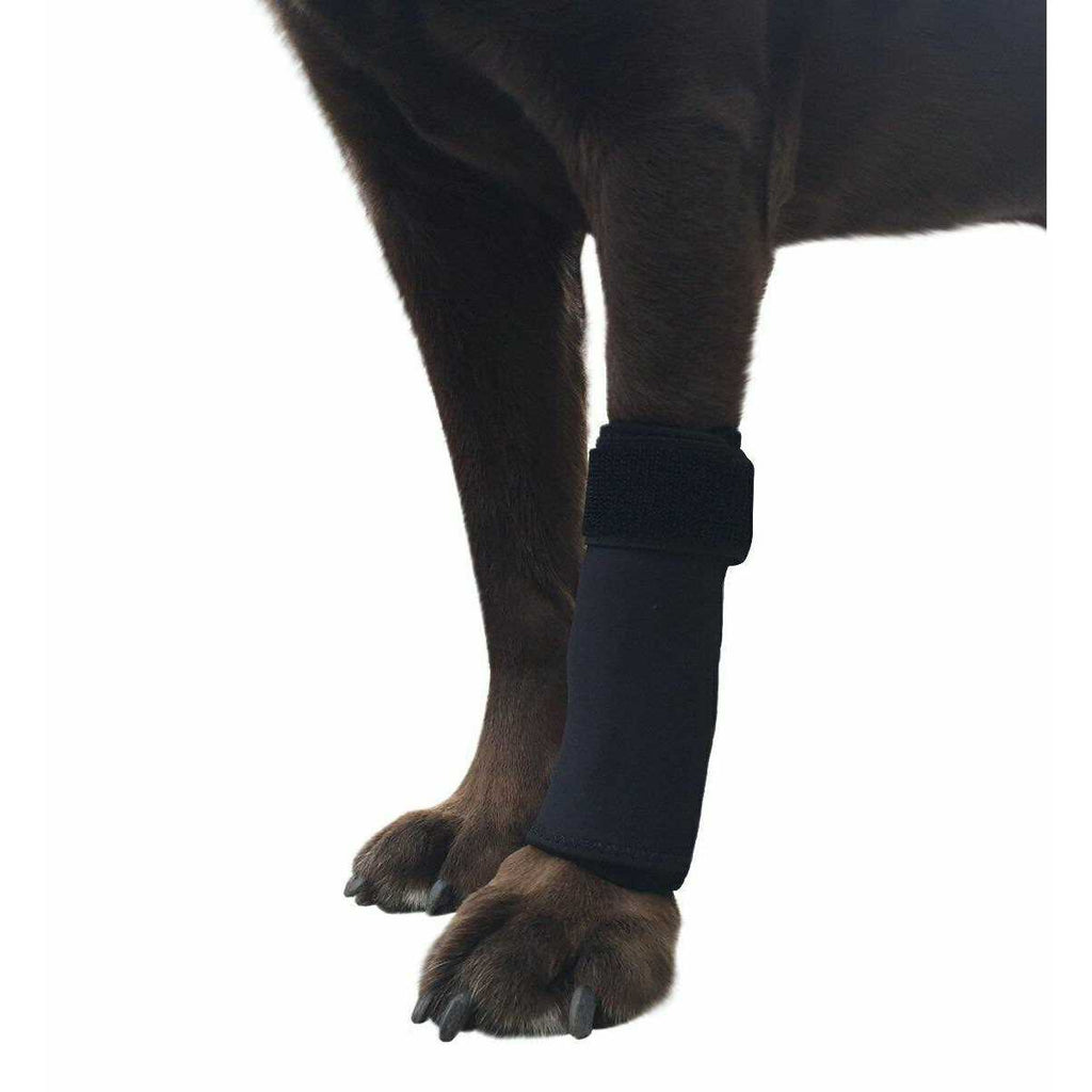 Labra Co. Dog Front Leg Compression Brace Wrap Sleeve P6937