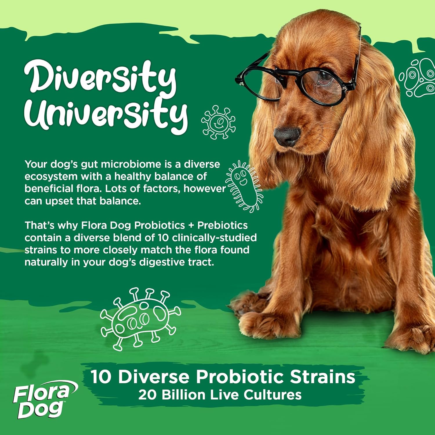 Vital Planet Flora Dog Probiotic Chewable Tablets, 30 Beef Flavored M70738