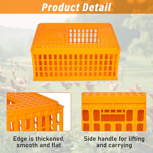 lukar 2PCS Plastic Poultry Carrier Crate for Chickens, 29.5 x 21.7 x 13 Inch A3267