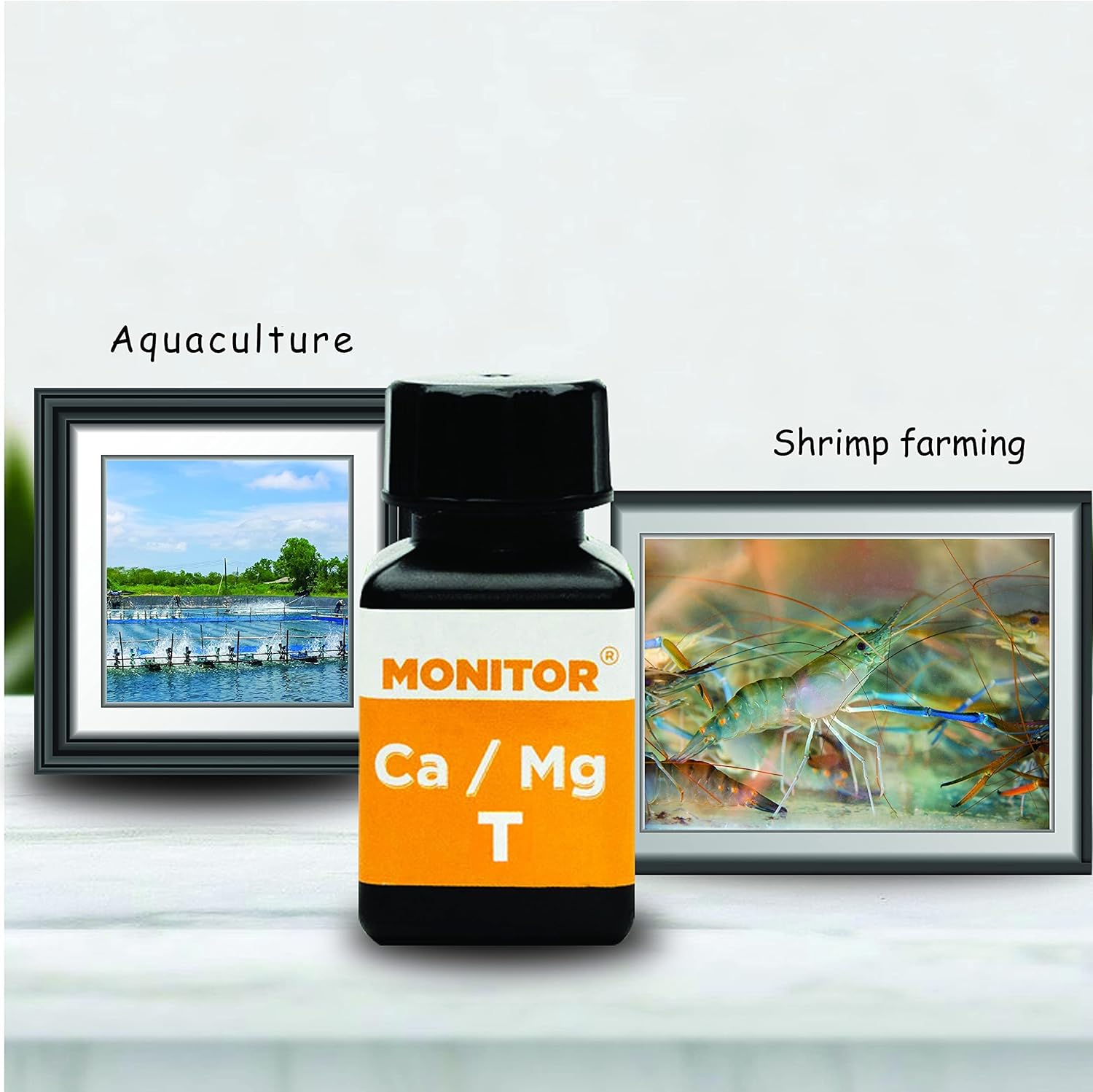 Monitor Calcium/Magnesium Low Salinity Test Kit (120 Tests) H241