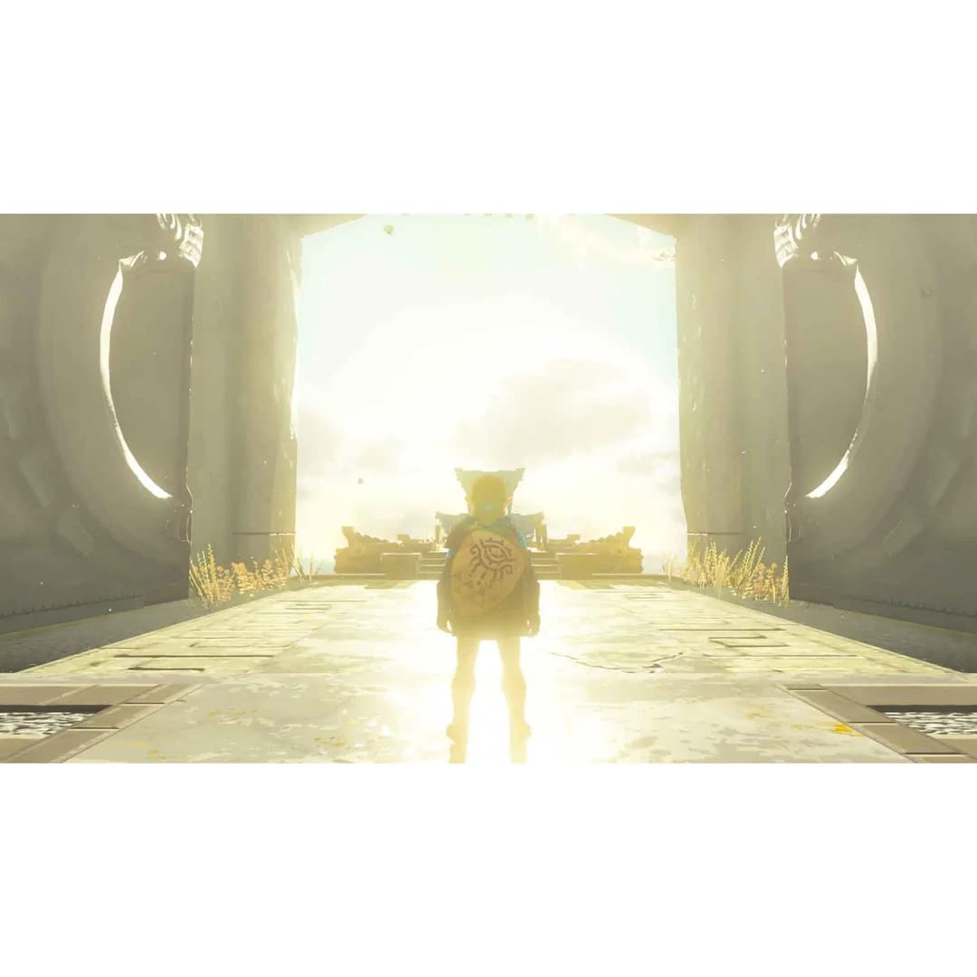 The Legend of Zelda: Tears of the Kingdom - Nintendo Switch X3211