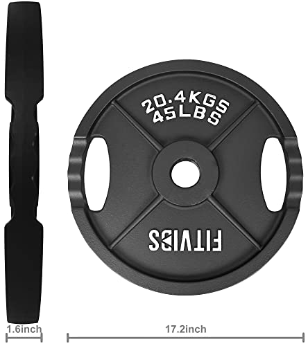 Olympic Cast Iron Weight Plates for Strength Training, Multiple Sizes S1890