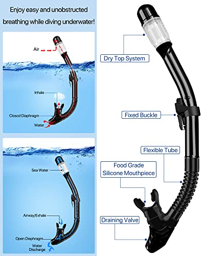 Snorkeling Gear Set for Adults with Diving Mask, Dry Top Snorkel, Fins and Travel Bag Q866