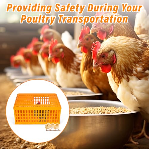 lukar 2PCS Plastic Poultry Carrier Crate for Chickens, 29.5 x 21.7 x 13 Inch A3267