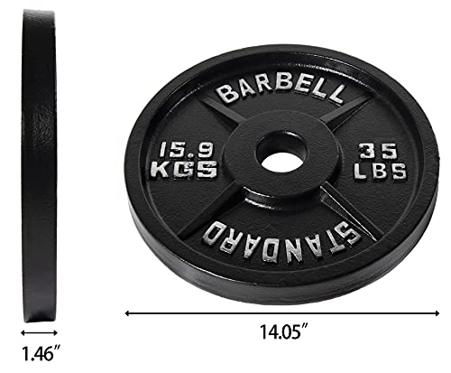 Olympic Cast Iron Weight Plates for Strength Training, Multiple Sizes S1890