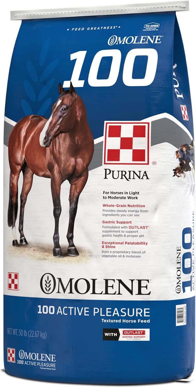 Purina Omolene #100® Active Pleasure Horse Feed, 50 lb Bag X4005