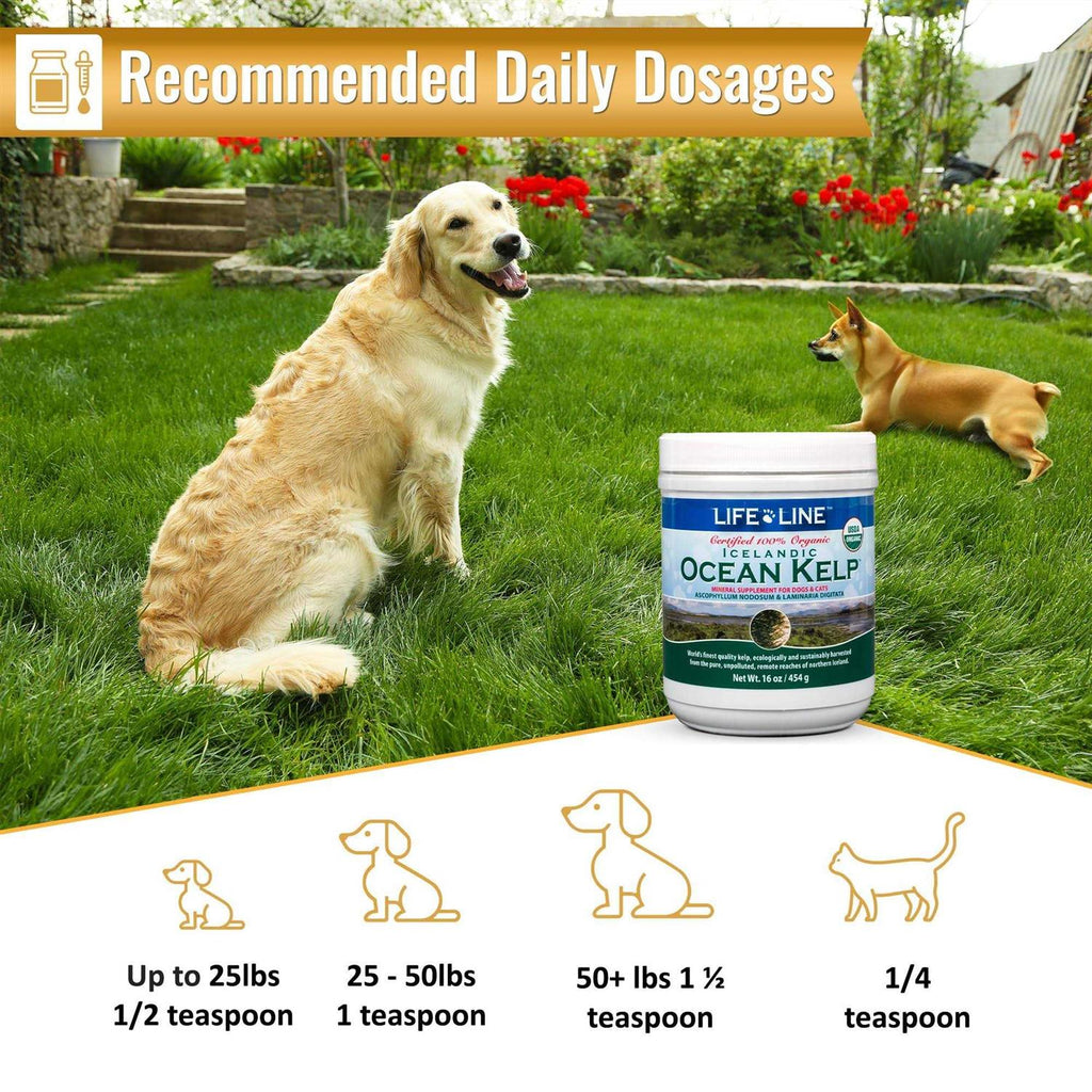 Life Line Ocean Kelp Dog & Cat Supplement S47444