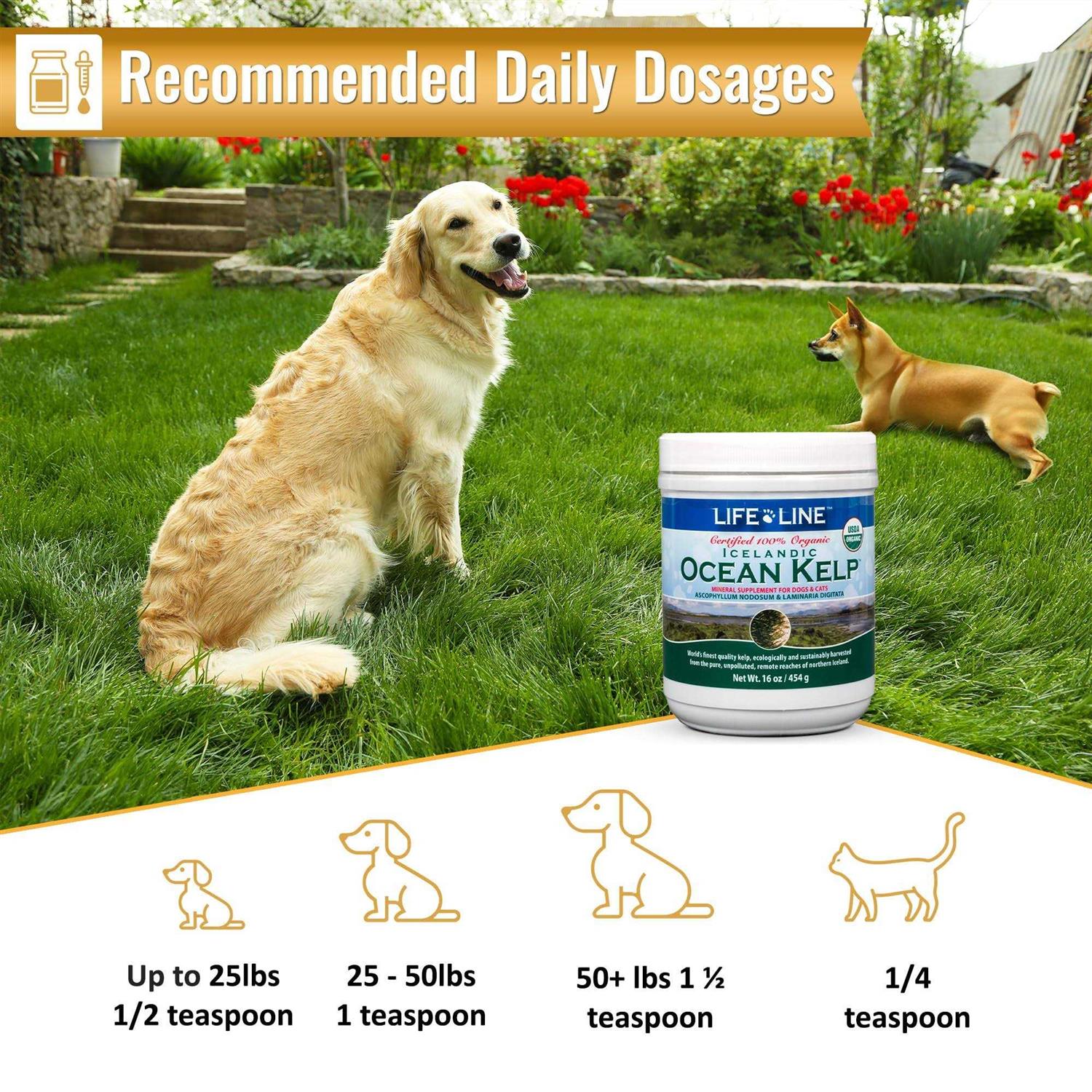Life Line Ocean Kelp Dog & Cat Supplement S47444