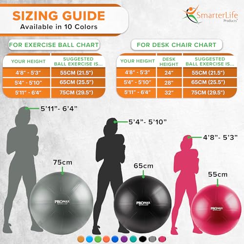 SmarterLife PRO MAX Exercise Ball for Fitness, Yoga, Balance, and Pregnancy B81405