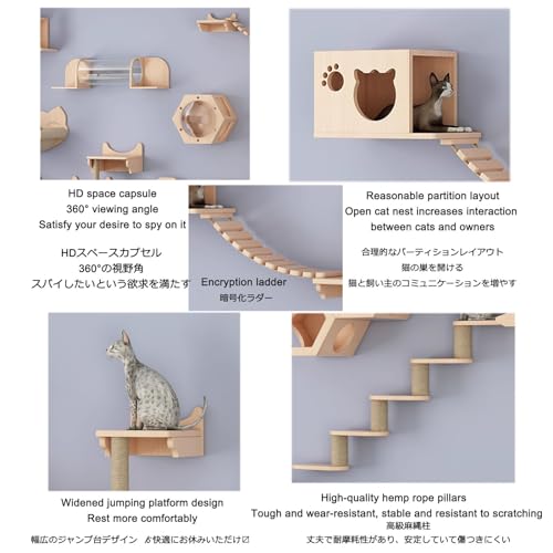 Cat Wall Shelves with Hammock and Perch, Style4 I5353