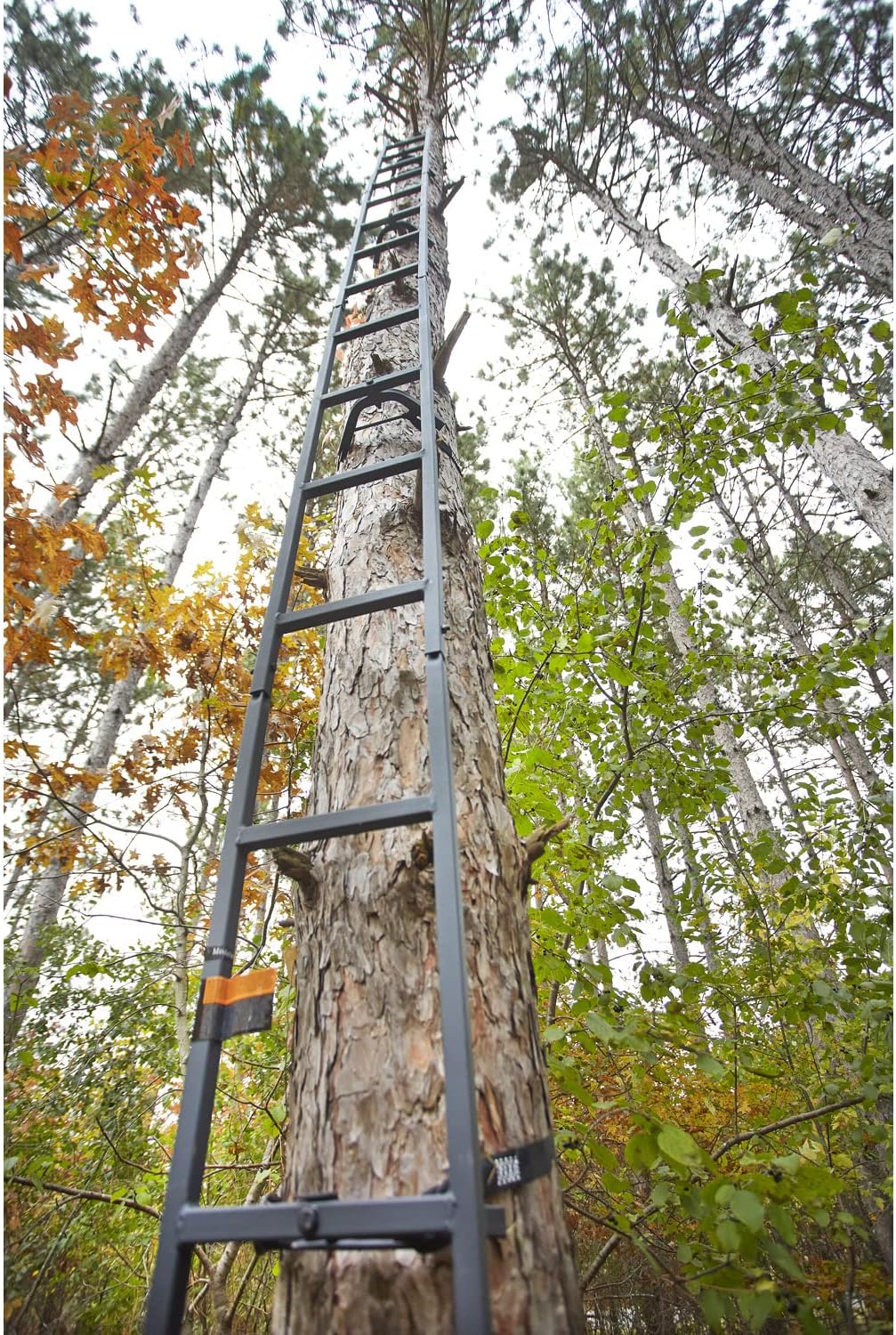 Guide Gear Climbing Ladder for Tree Stands, 20’ V926497