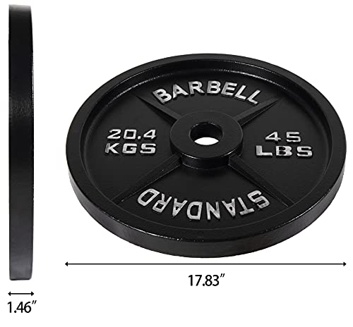 Olympic Cast Iron Weight Plates for Strength Training, Multiple Sizes S1890