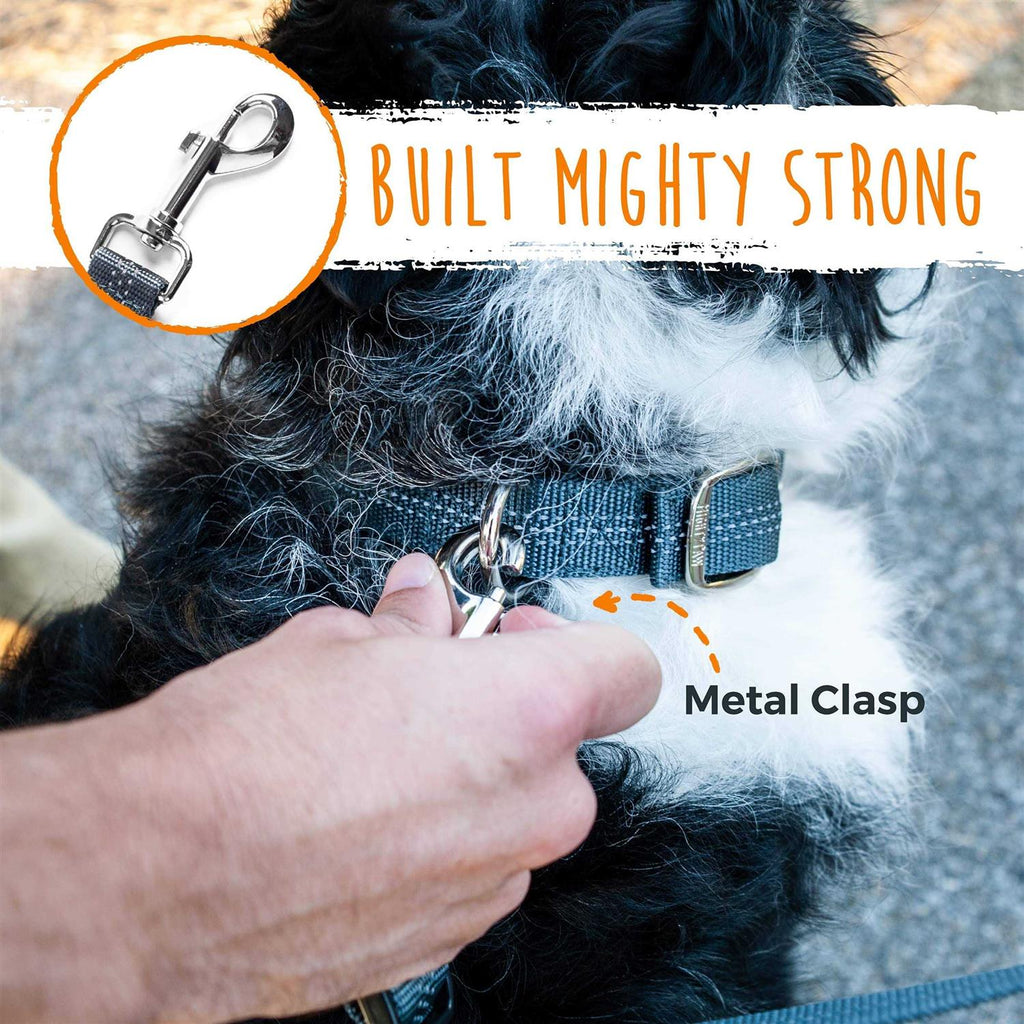 Mighty Paw Adjustable Double Dog Leash N87211