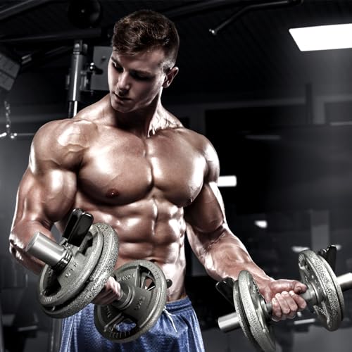 Olympic Dumbbell Handle 16" for 2-Inch Weight Plates, 2 Spring Collars Included A1556