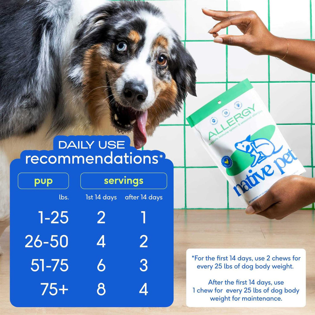 Native Pet Allergy Chews for Dogs X213370