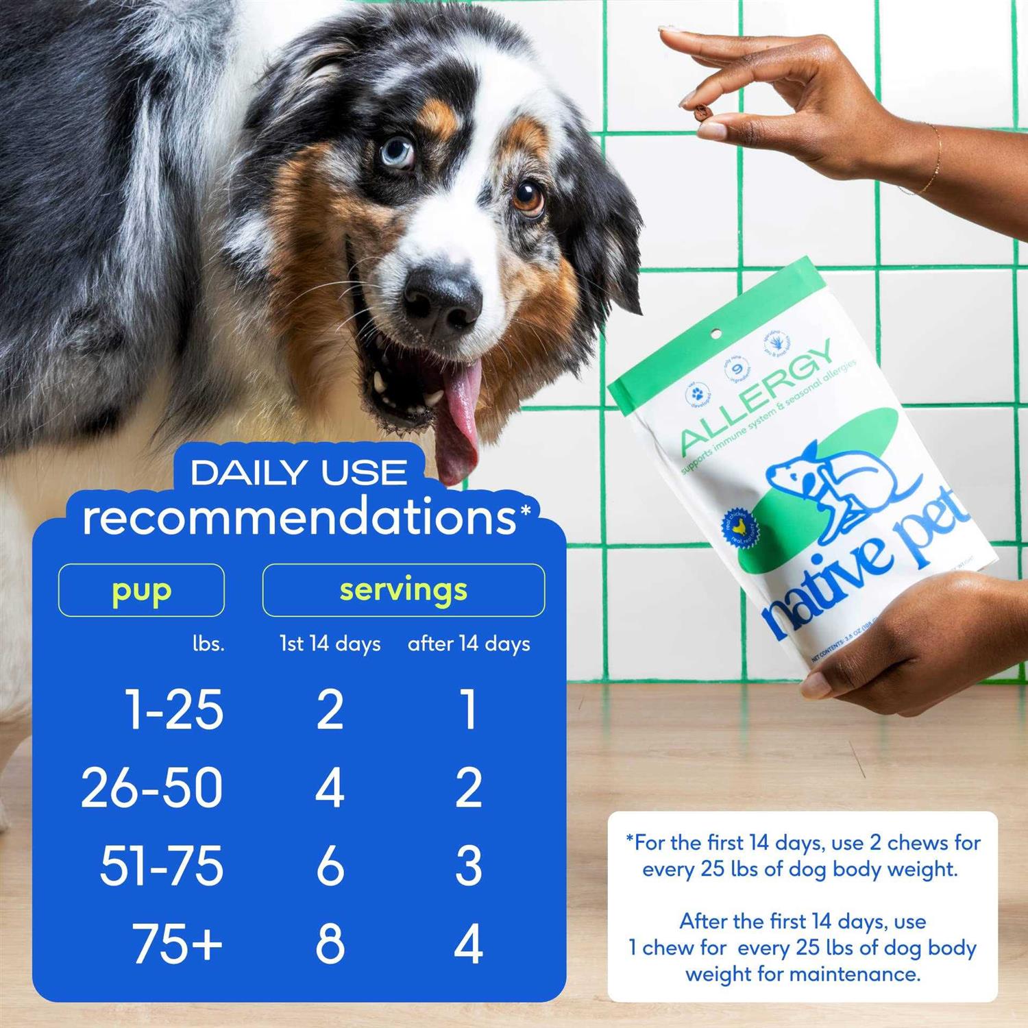 Native Pet Allergy Chews for Dogs X213370