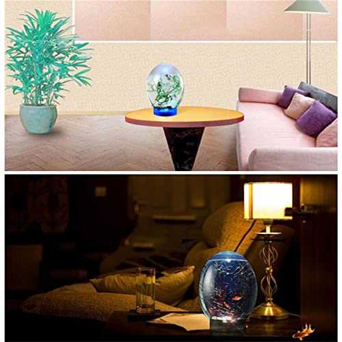 Mini Ecological Fish Tank with LED Base, Desktop Aquarium, Black Y7006