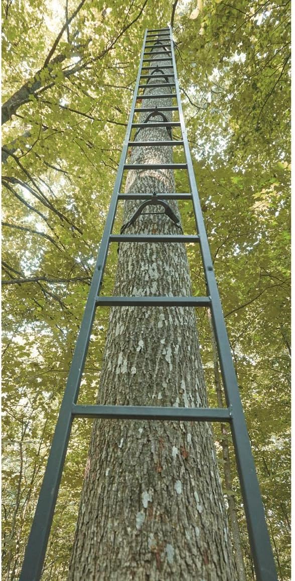 Guide Gear 20' Wide Maxi Tree Stand Ladder for Hunting V76057
