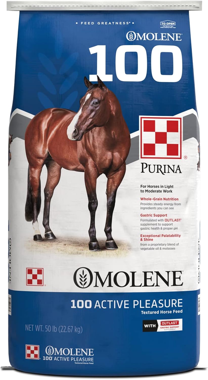 Purina Omolene #100® Active Pleasure Horse Feed, 50 lb Bag X4005