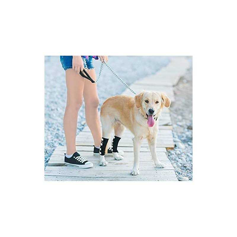 Neoally Dog Hind Leg Brace with Safety Reflective Straps Y76747