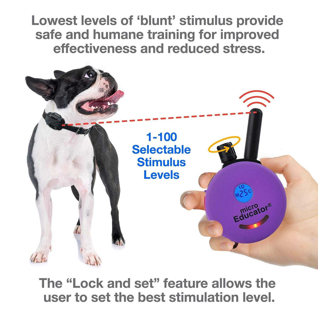 Micro Educator ME-300 Remote Dog Training Collar by E-Collar Y32959