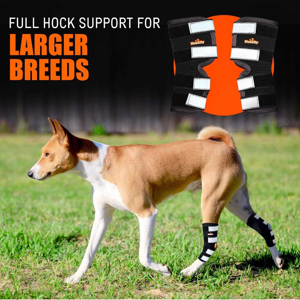 Neoally Dog Hind Leg Brace with Safety Reflective Straps Y76747