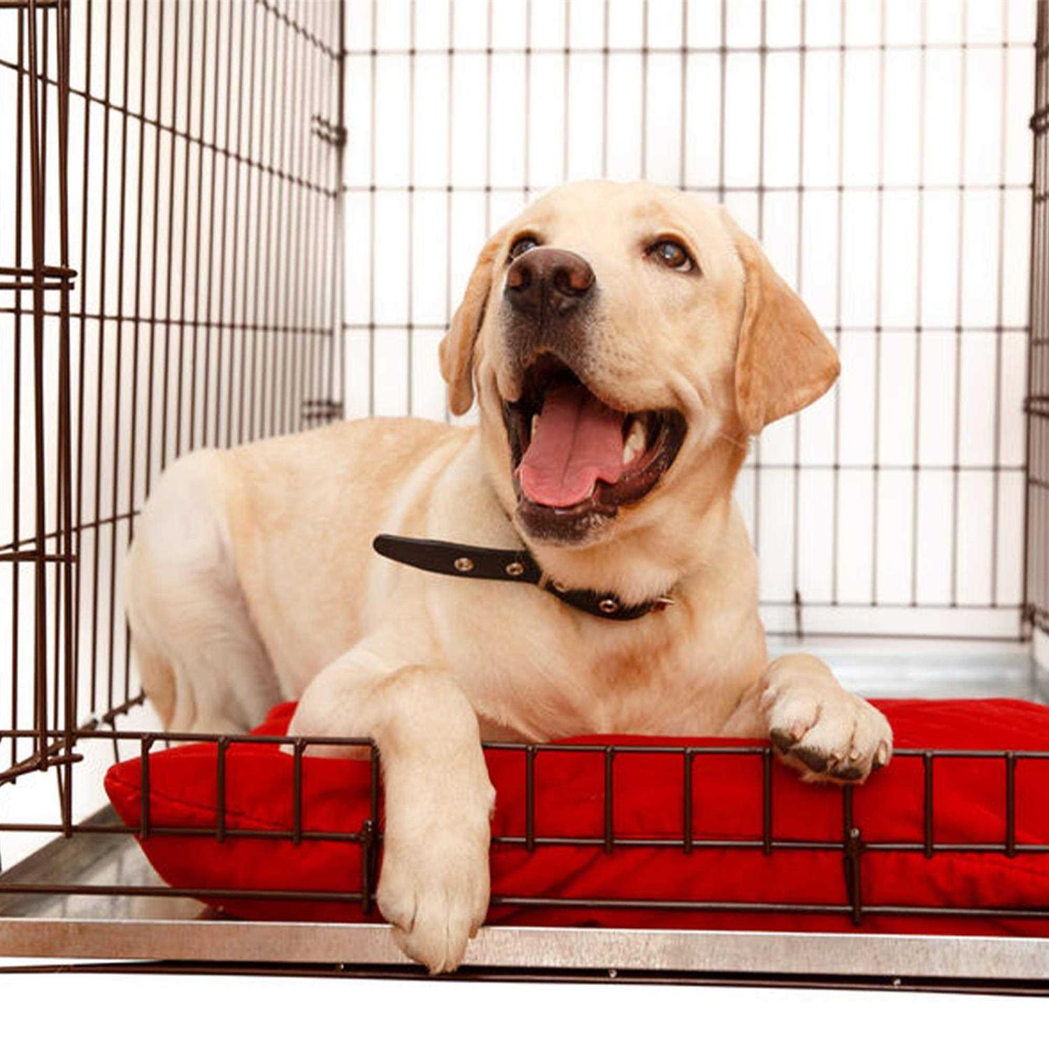 KOPEKS Galvanized Metal Tray for Dog Crates and Pet Kennels L4344