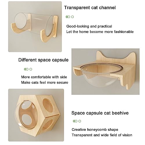 Solid Wood Wall-Mounted Cat Climbing Frame Set N398