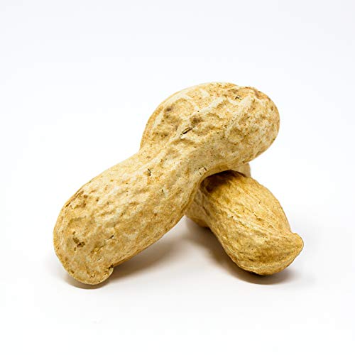 Sky Premium USA Grown Raw Peanuts in Shell for Squirrels, 2.5lb M37280