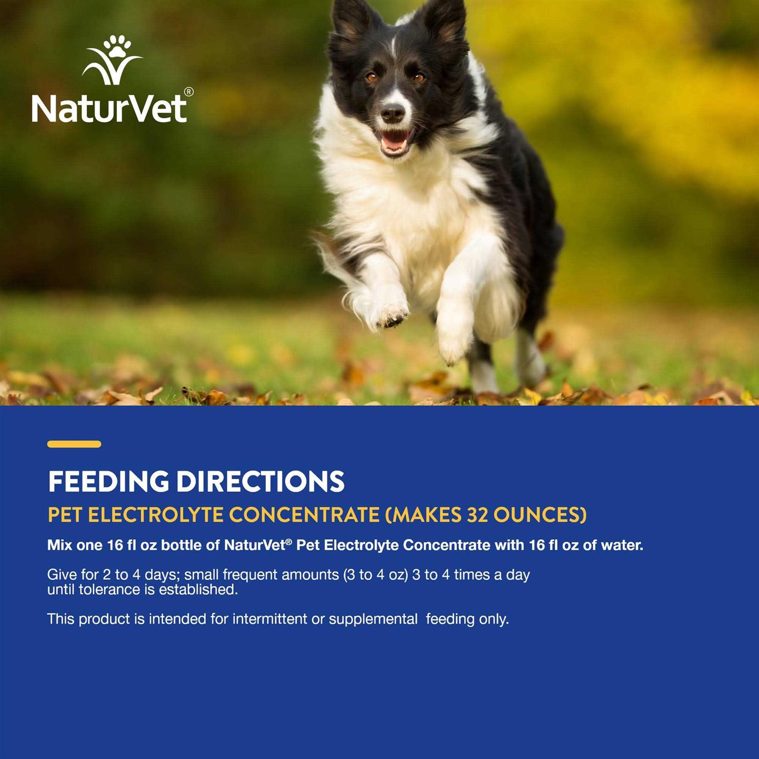 NaturVet Pet Electrolyte Concentrate 16 oz for Dogs & Cats I445167